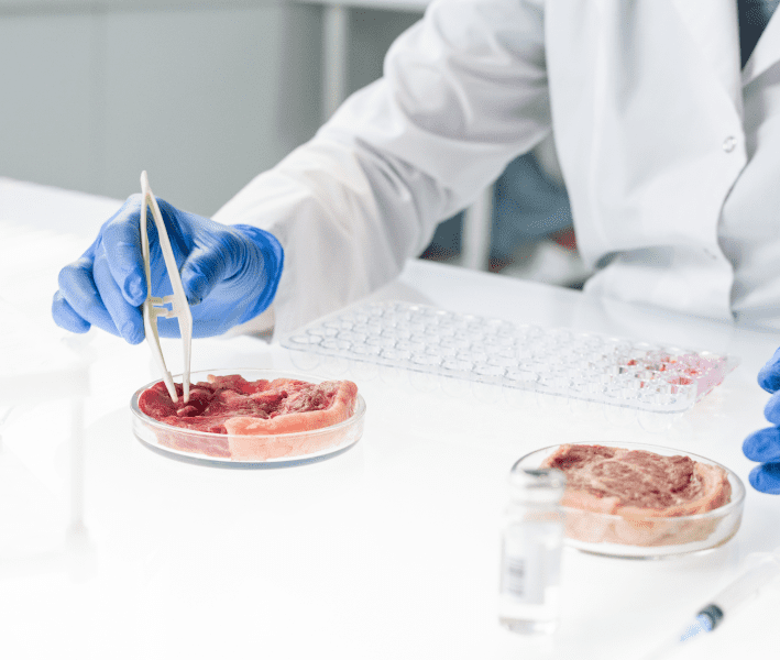 Cell Based Cultivated Meat- Eco Meat™